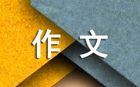 续写作文《小摄影师》