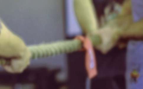 �κӱ��������ʵ��(15ƪ)