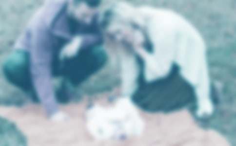 对爸爸妈妈祝福语