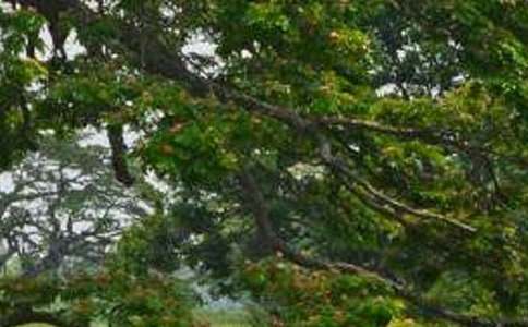 �������޽�ѧ��˼