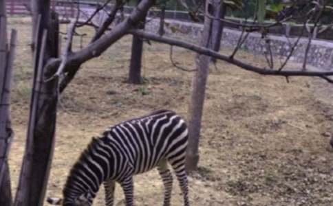 �����ϡ��������ð����߳�����15ƪ