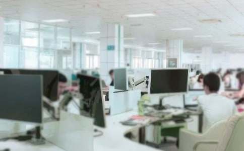 �칫�����δ�ְ����