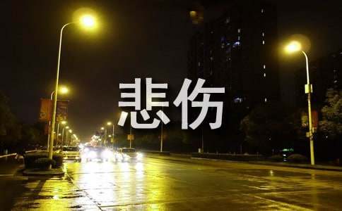 2024��ͨ�ñ��˵���¼38��