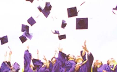 ��ҵ������������15ƪ