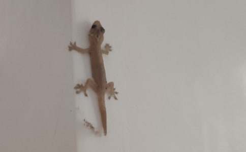 ��С�ڻ���β�͡���ѧ��˼