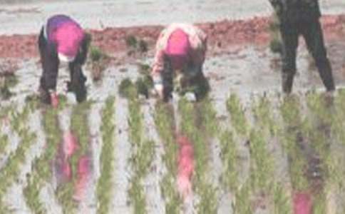 ����������ѧ���