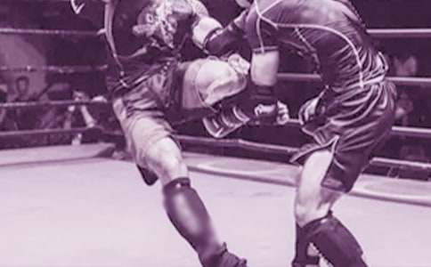 ��ܱ�֤����15ƪ