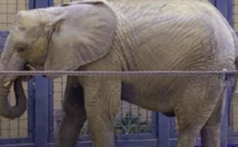 ������Ķ��䡷�ڶ���ʱ��ѧ���