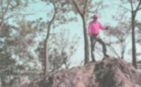 �����ɽ�����