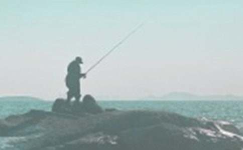 ���������ʾ����ѧ��ƣ���ѡ6ƪ��