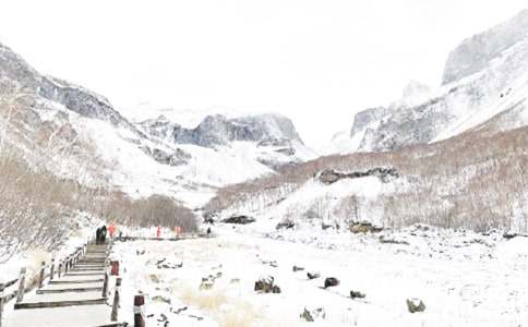 Σ����ҵ��������������ȫ���������������ģ���ѡ19ƪ��