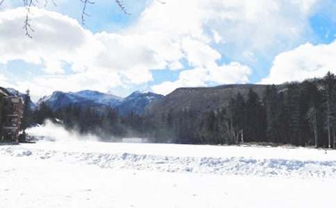 ������ȫ������鹤���ܽ�