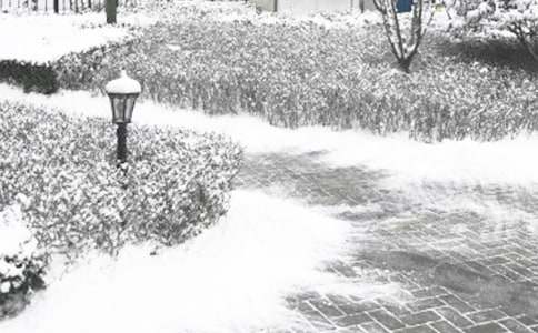 �ﶬ���ڵ��ʺ���