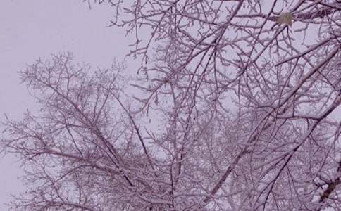 ������ů��߻�����