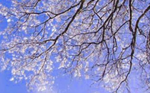 《济南的冬天》教学反思