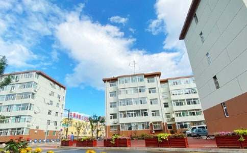 ������ŵ�鷶��