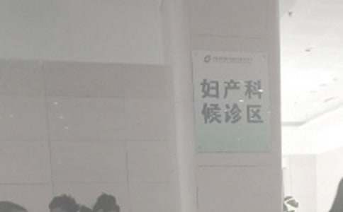 �����ƹ����ƻ�[����15ƪ]