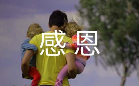 感恩回馈员工活动方案