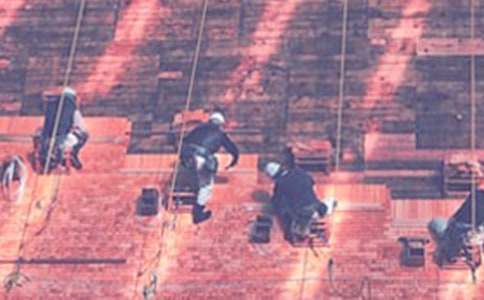 ����ȥ����ʵϰ�������ʮƪ