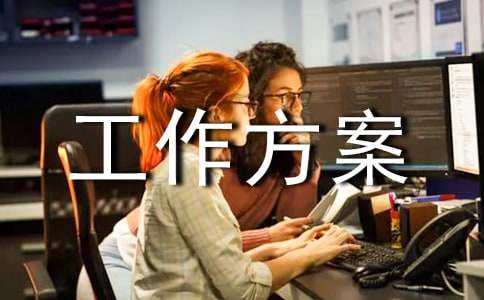 实用的工作方案锦集10篇