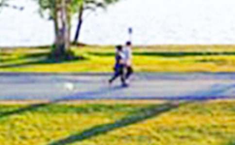 《公园绿树红花》说课稿