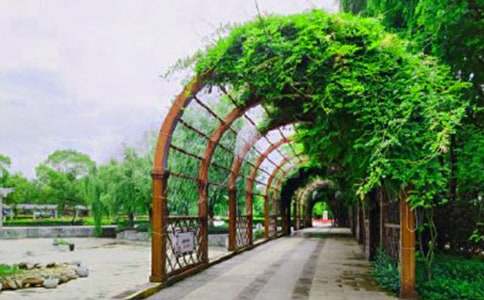 公园绿地保护倡议书