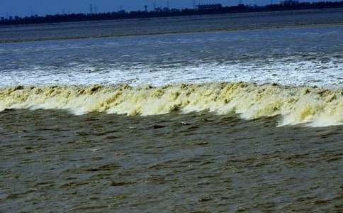 ���ڹ۳��Ľ�ѧ��˼���ģ�ͨ��6ƪ��