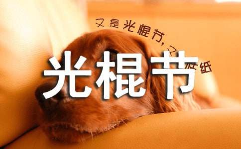 ˫ʮһ����ڴ��������