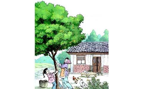 �����ѧ��˼���15ƪ