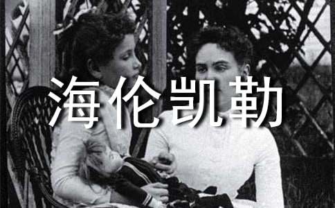 ���׿�������