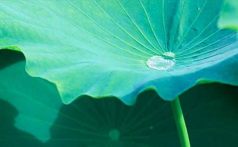 ����������ҶԲԲ����ѧ���4ƪ