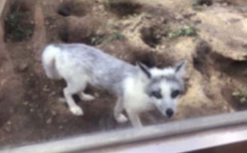 ���������ѻ����ѧ���15ƪ