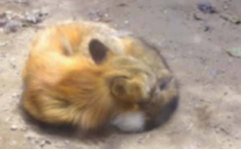 ���������ѻ����ѧ���