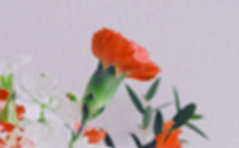 关于花朵的名言