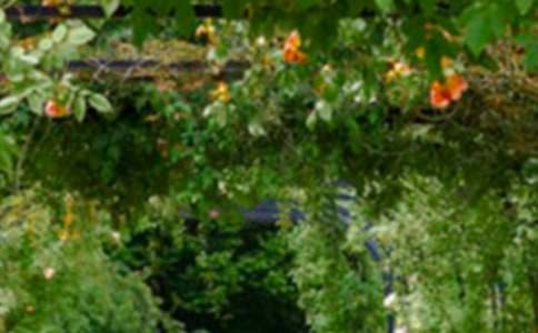 《巨人的花园》说课稿