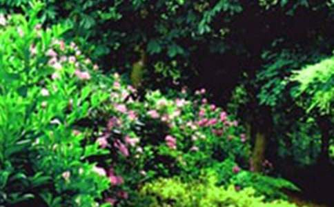 ���꼶�¾��˵Ļ�԰��ѧ��˼��ȱ�㣨ͨ��28ƪ��