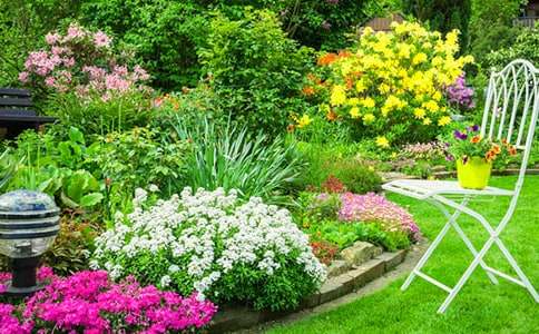 ԰�ֻ�԰��ƺ�ͬ����