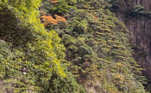 ���꼶����ɽ��ʯ����ѧ��˼��ͨ��12ƪ��