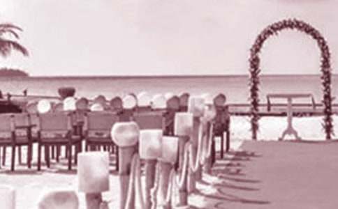 ���񾴲����ִʾ�ѡ��2ƪ��