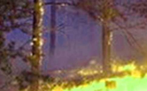 火灾捐款倡议书