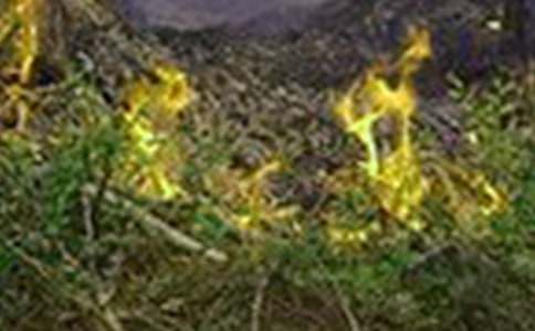 Զ������ݽ���