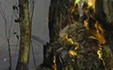 (热门)火灾捐款倡议书