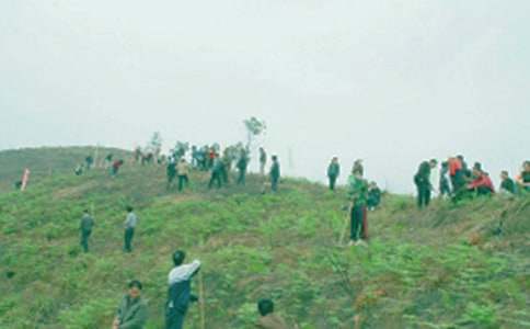 “文明祭祖”倡议书