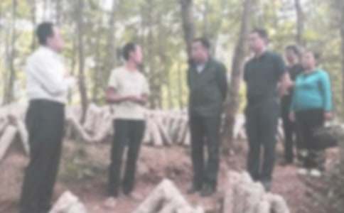 ʵ�õļͼ칤���ƻ�3ƪ