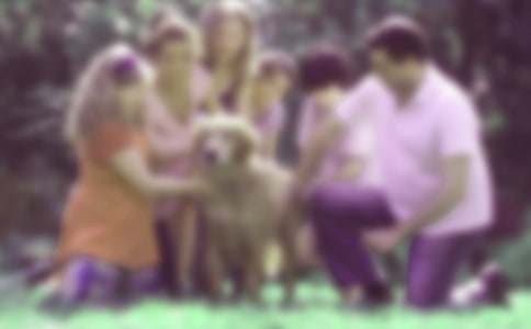 �׶�԰��ͥ������������ִ�