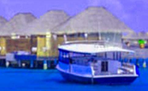 Сѧ������ѧϰ�ƻ�(15ƪ)