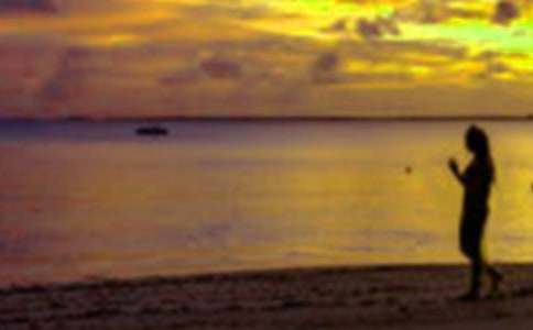 ��ѧ������ʵ������(��ѡ15ƪ)