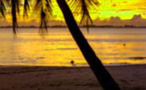 ���ڸ���ѧϰ�ƻ�(��ѡ10ƪ)