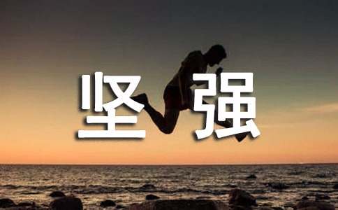 ��־��ǿ������