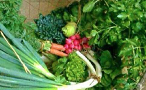 �����뽡����ѧ�ƻ�